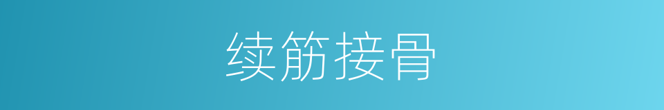 续筋接骨的意思