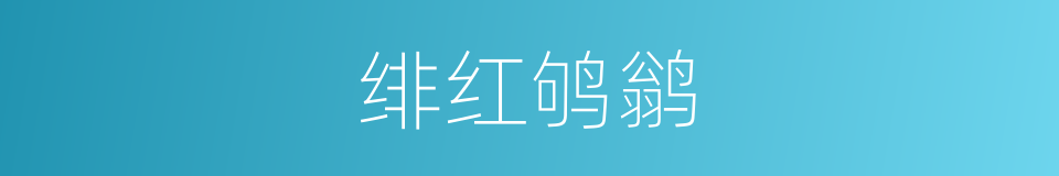 绯红鸲鹟的同义词