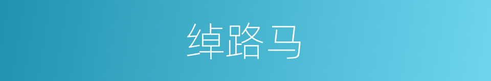 绰路马的意思