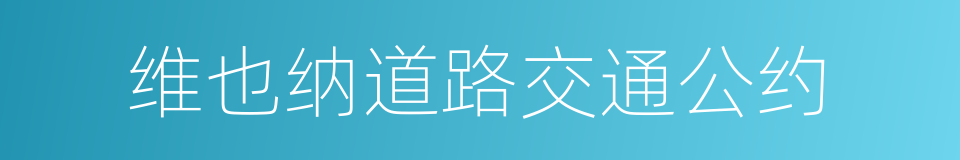 维也纳道路交通公约的同义词