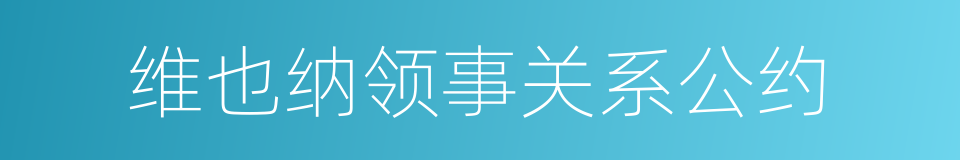 维也纳领事关系公约的同义词