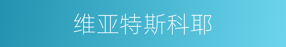 维亚特斯科耶的同义词