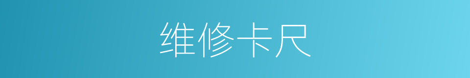 维修卡尺的同义词