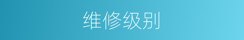 维修级别的同义词