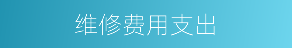 维修费用支出的同义词