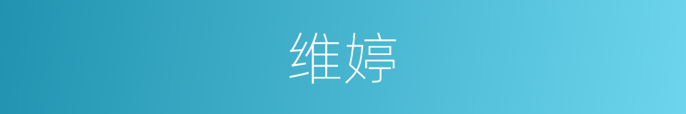 维婷的同义词