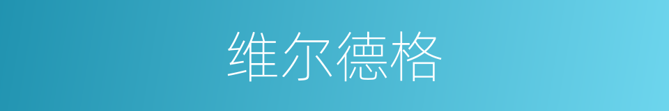 维尔德格的同义词