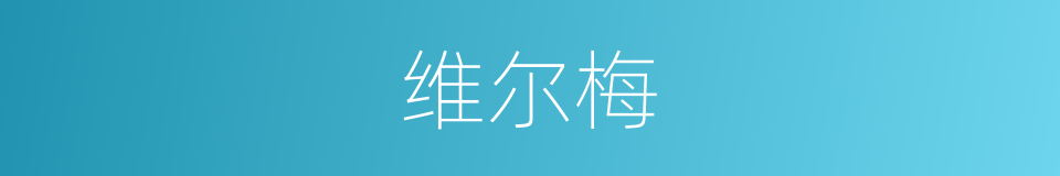 维尔梅的同义词