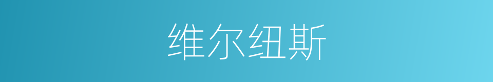 维尔纽斯的同义词