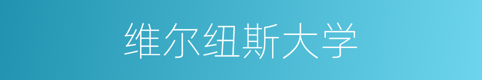 维尔纽斯大学的同义词