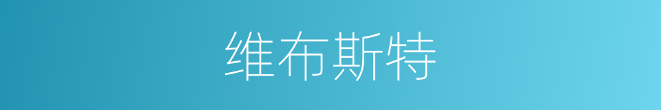 维布斯特的同义词
