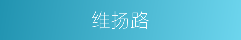 维扬路的同义词