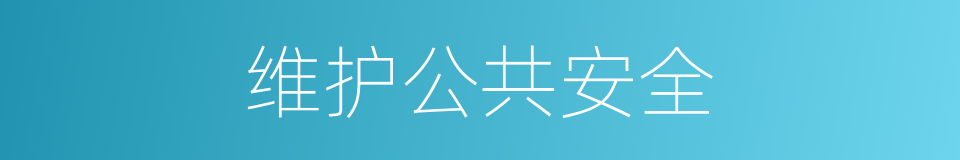 维护公共安全的同义词