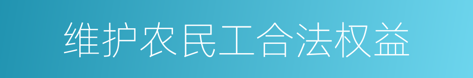 维护农民工合法权益的同义词