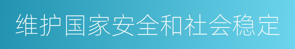 维护国家安全和社会稳定的同义词