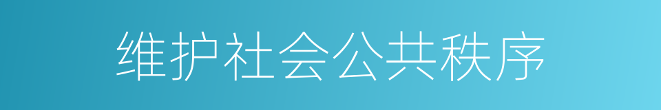维护社会公共秩序的同义词