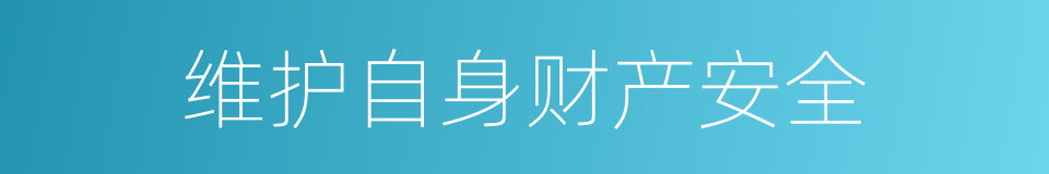 维护自身财产安全的同义词