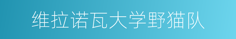 维拉诺瓦大学野猫队的同义词