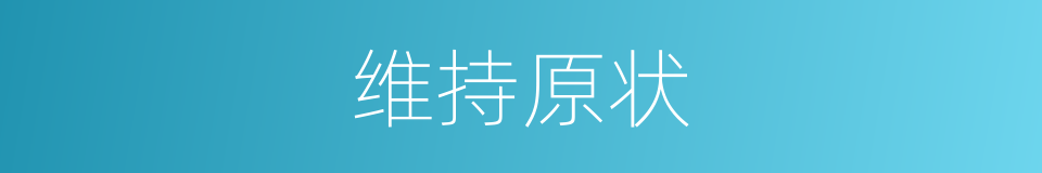 维持原状的同义词