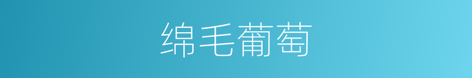绵毛葡萄的同义词