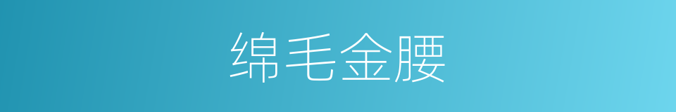 绵毛金腰的同义词