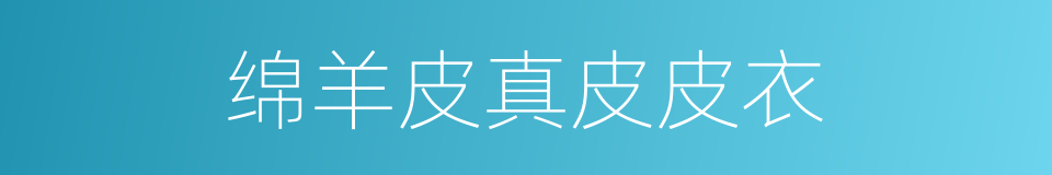 绵羊皮真皮皮衣的同义词
