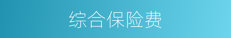 综合保险费的同义词