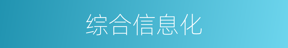 综合信息化的同义词