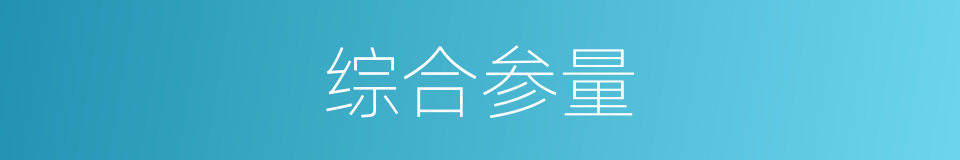 综合参量的同义词