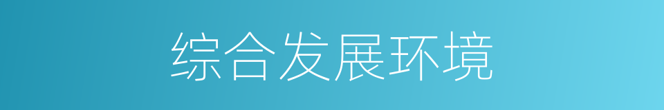 综合发展环境的同义词