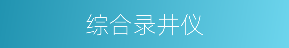 综合录井仪的同义词