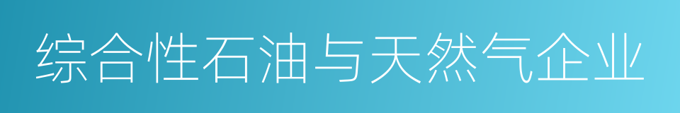 综合性石油与天然气企业的同义词