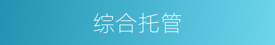 综合托管的同义词