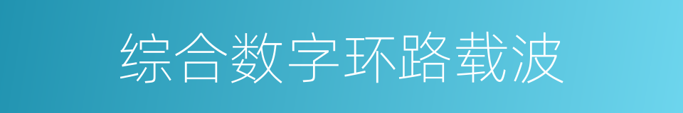 综合数字环路载波的同义词