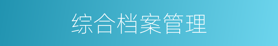 综合档案管理的同义词