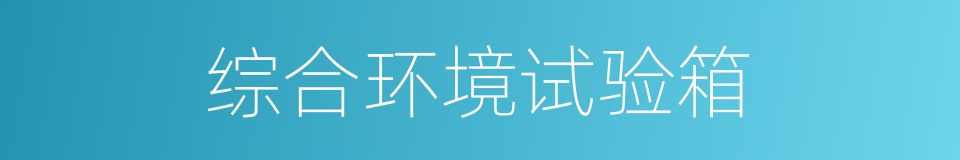 综合环境试验箱的同义词