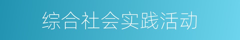综合社会实践活动的同义词