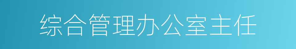 综合管理办公室主任的同义词