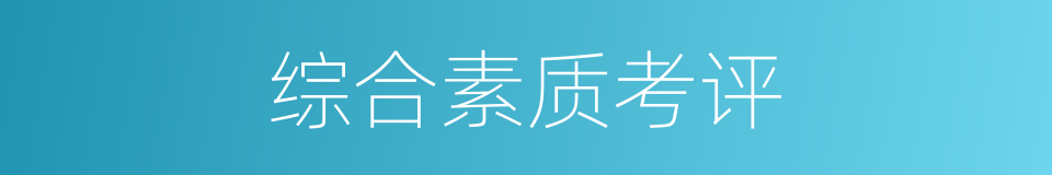 综合素质考评的同义词