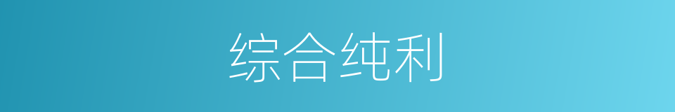 综合纯利的同义词