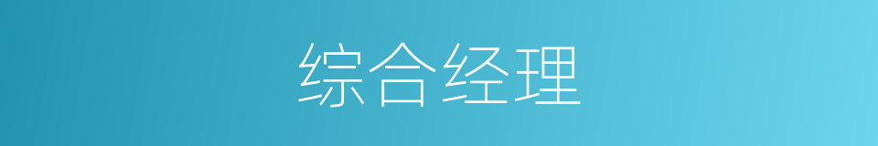 综合经理的同义词