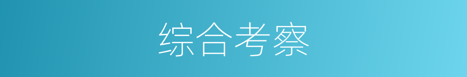 综合考察的同义词