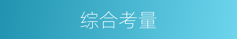 综合考量的意思