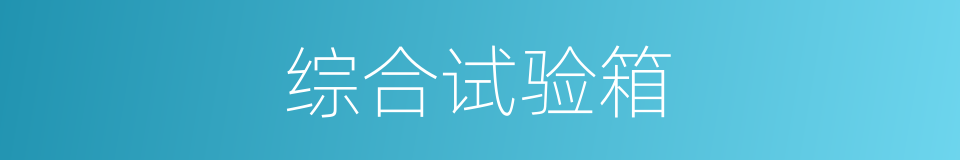 综合试验箱的同义词