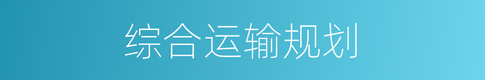 综合运输规划的同义词