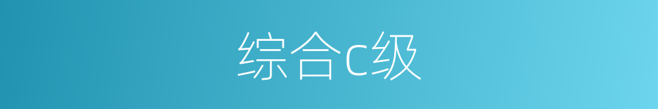 综合c级的同义词