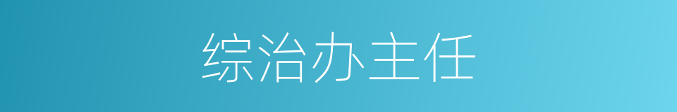 综治办主任的同义词