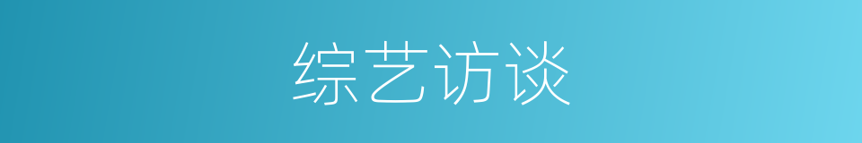 综艺访谈的同义词