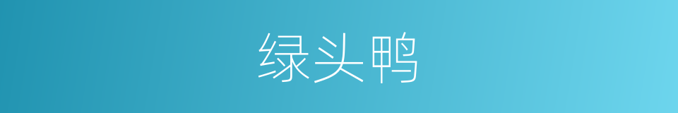 绿头鸭的意思