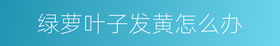 绿萝叶子发黄怎么办的同义词